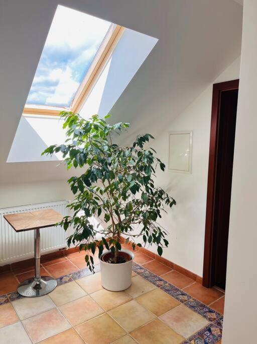 Apartman Se Zahradou 20 Minut Do Centra Prahy Ořech Exterior foto